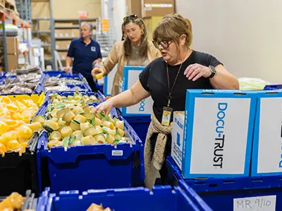 People packing boxes with groceries in warehouse